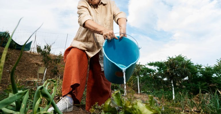 Alianza 2630 | Colombia Progresa 2630